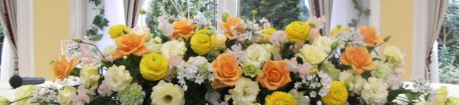illdepan's header image