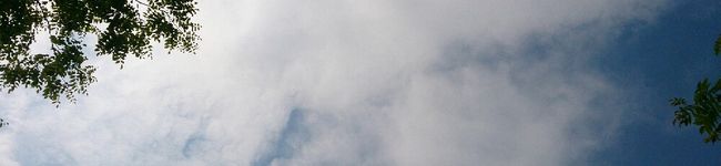 yuka_kuma's header image
