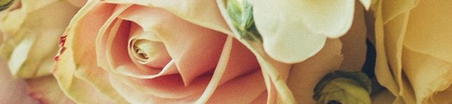蓮蓮ママ's header image