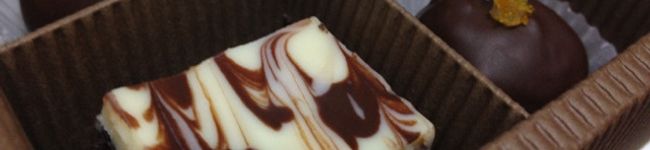 pipple's header image