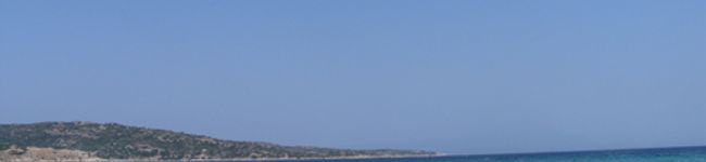 aasee's header image