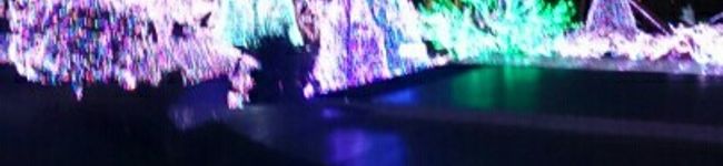 moonspring's header image