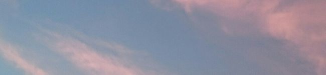 りこぼう's header image