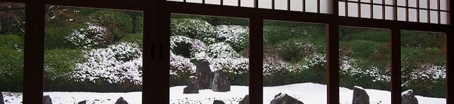 乱ペイ's header image