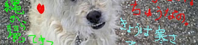 エツコの部屋's header image