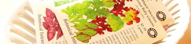 LalaGarden's header image