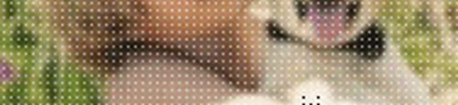 マイバスケット's header image