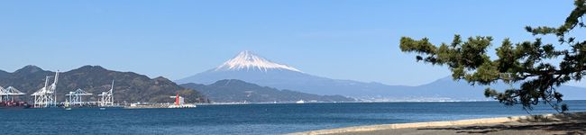 ミルまめ's header image