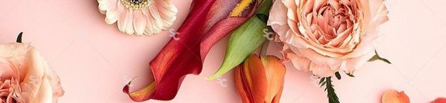 mmkk_mama's header image