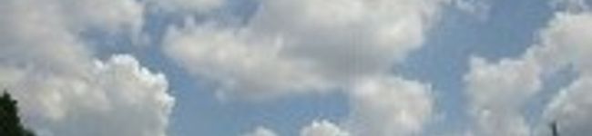 一応栄養士's header image