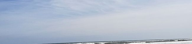 ほーむず山田's header image