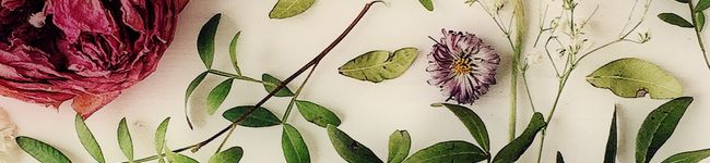 Sacchon☆'s header image
