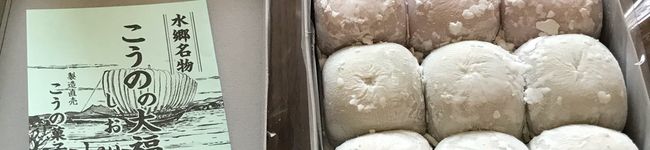 suiray's header image