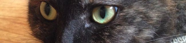 Dorothymw's header image
