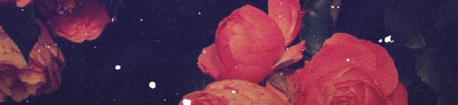 momomin666's header image
