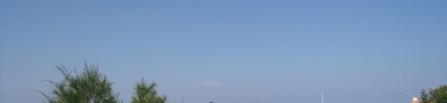 pinobun's header image