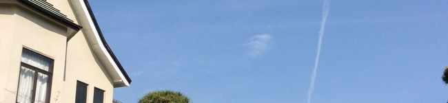 pーtan's header image