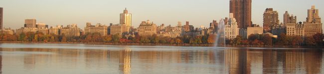 NYニューヨークNY's header image