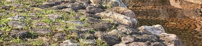 Doska's header image