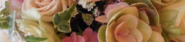 mimikokko's header image
