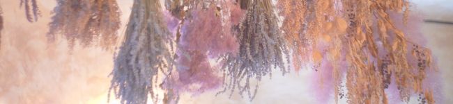 petit-trefle's header image