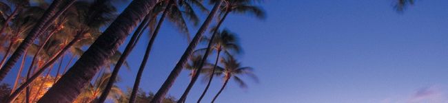 nani cafe's header image