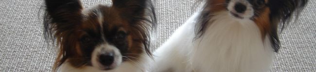 yotty7's header image
