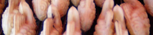 ＹＯＰ's header image