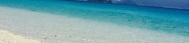 kotosank's header image