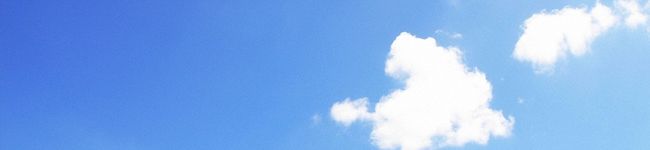 sissie's header image