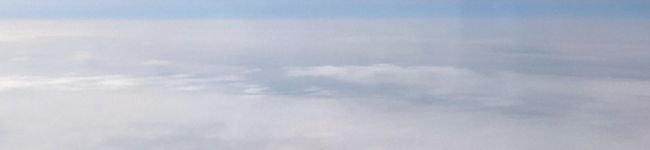 bowwow's header image