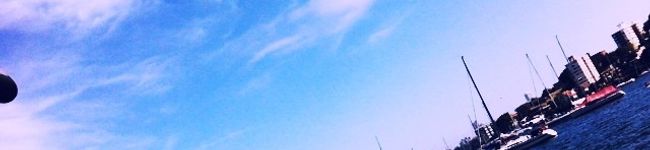 miccodon's header image