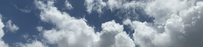 ジャネットのママ's header image