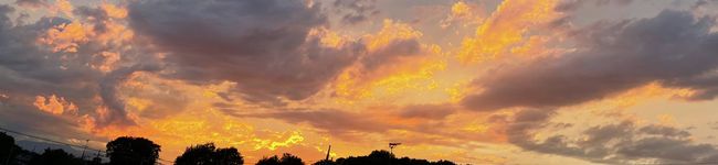 teruminmin's header image
