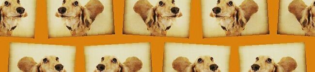 yocching's header image