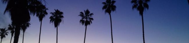 aya1027aya's header image