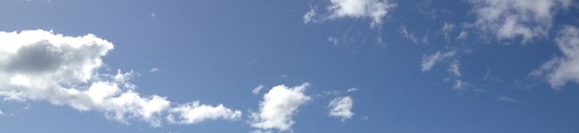 ももさん0115's header image