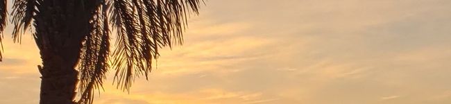 てべち's header image