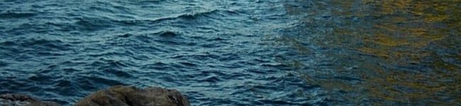 男の料理's header image