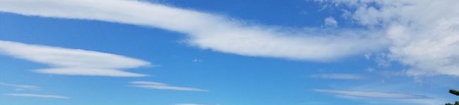 ＊ma＊ri＊'s header image