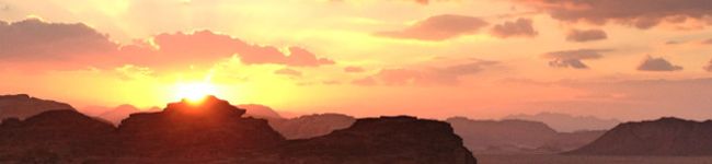 MsPostman's header image