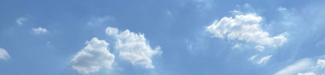 鹿児島っこ's header image