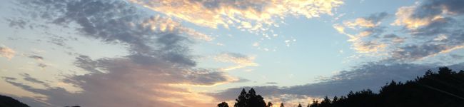 coccoa's header image