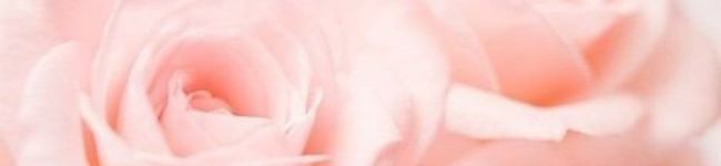 ひねくれりぃーちゃん's header image