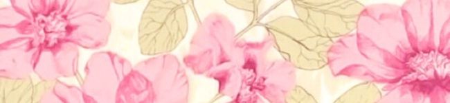 ♡achacoco♡'s header image