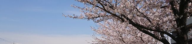 setsuyammy's header image
