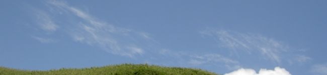 えみくま's header image