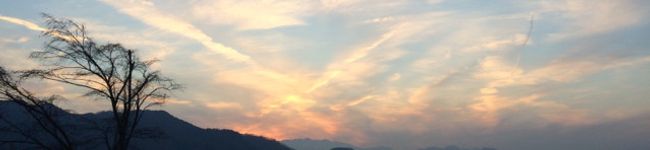 のんかろ's header image