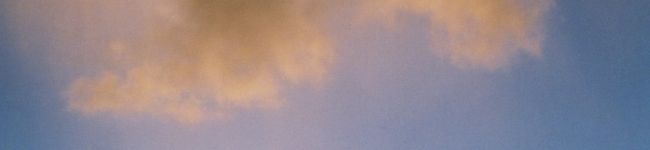 ぷすけ's header image