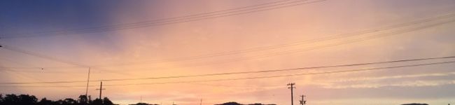 mirising's header image